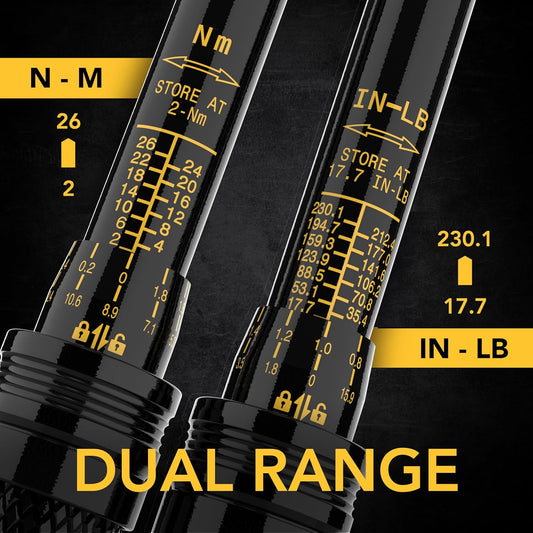 LEXIVON Bike Torque Wrench 1/4-Inch Dr. 15-Piece Kit | 72-Tooth Gear, Dual-Direction Click Type 2~26 Nm / 17.7~230.1 in-lb (LX-191)